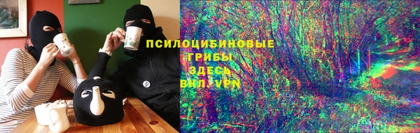 гидра Алексеевка